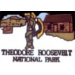 THEODORE ROOSEVELT PIN NATIONAL PARK PIN